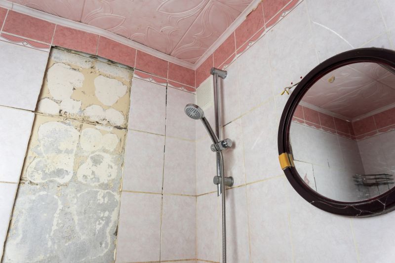 Shower Tile Repair in Littleton, CO